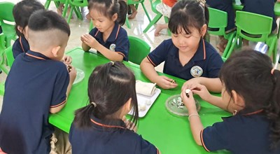 LỢI ÍCH CỦA HOẠT ĐỘNG TRẢI NGHIỆM VỚI TRẺ MẦM NON